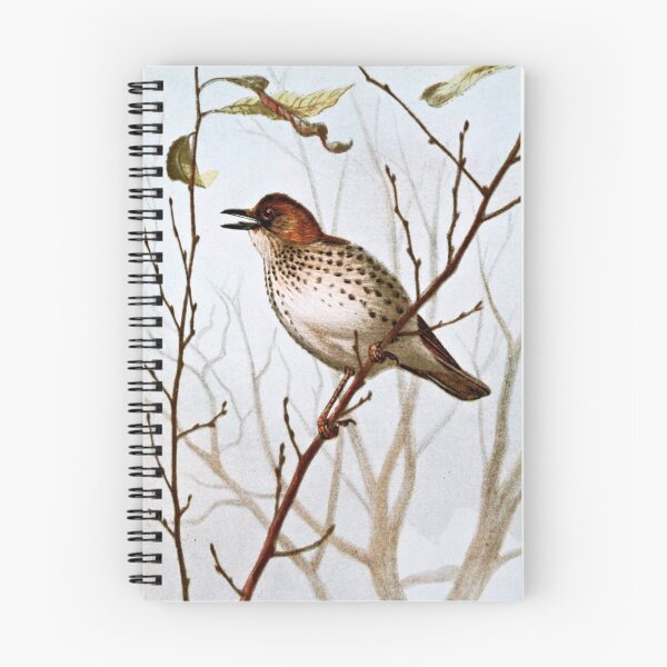 Item preview, Wood Thrush Vintage Art designed and sold by goldenmenagerie.