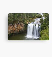 Dangar Falls, Dorrigo, Australia Canvas Print