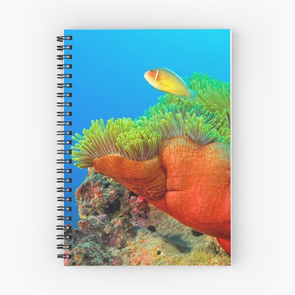Item preview, Anemone with Pink Anemone Fish designed and sold by Henry Jager.
