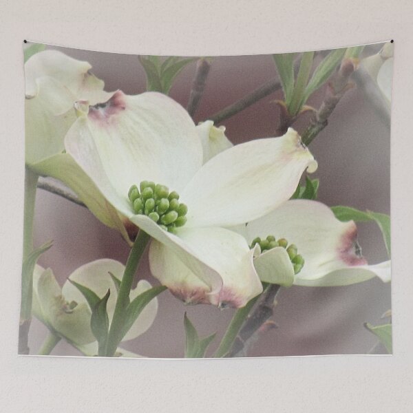 Item preview, Dogwood Flower Modern Farmhouse Cottage Chic Country Art A447 designed and sold by byNicol.