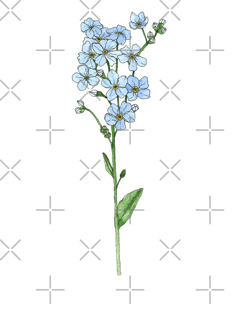Watercolor Flower Forget Me Not Baby One Piece By Bahyocah Redbubble