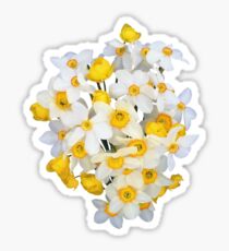 DAFFODIL 2 Sticker