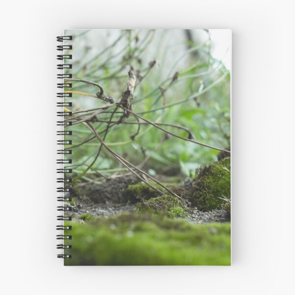 Item preview, Grasslands designed and sold by Jacko-2026.