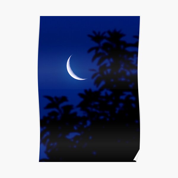 New Moon Poster