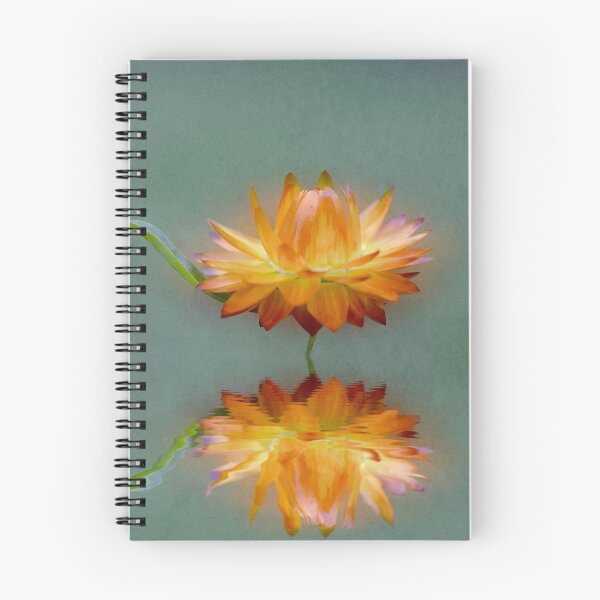 Item preview, Sleeping Paper Daisy designed and sold by ARTmanhART.