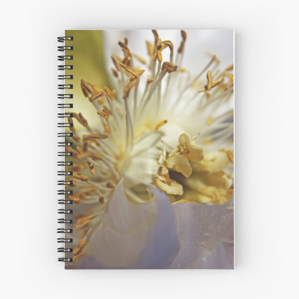 Item preview, ~Sweetly Irresistible~ designed and sold by Mystic Raven Art.