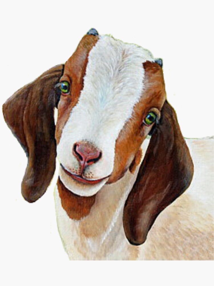 "Pygmy Goat Pygmy Goat Painting Goat Goat Painting Pygmy Goat