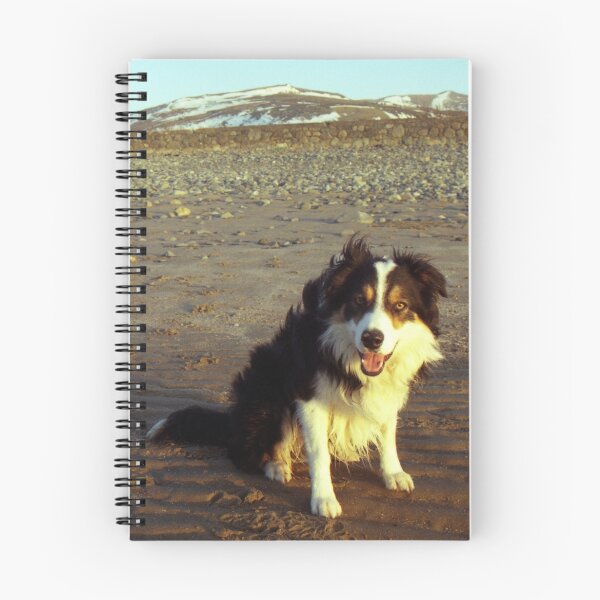 Item preview, Laddie in March designed and sold by Michael Haslam.