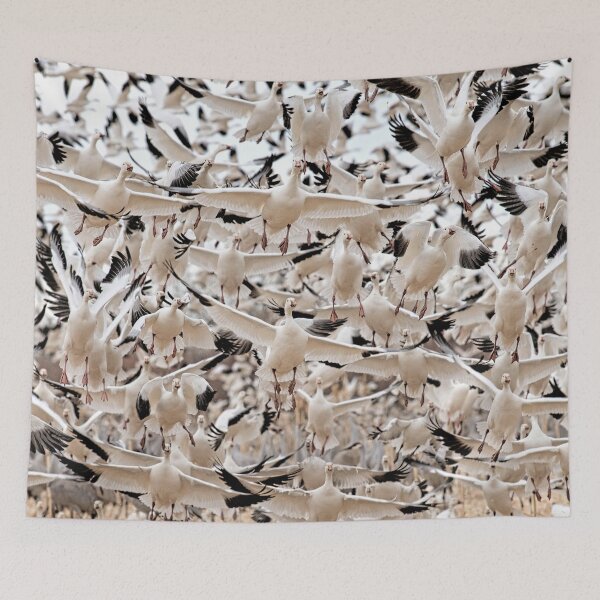 Item preview, Thousands And Thousands Of Snow Geese At Bosque Del Apache National Refuge By OLena Art designed and sold by Rocky Mountain Artistry.