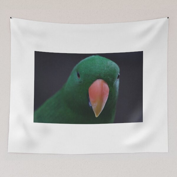 Item preview, Green parrot designed and sold by Sandi Walmsley.