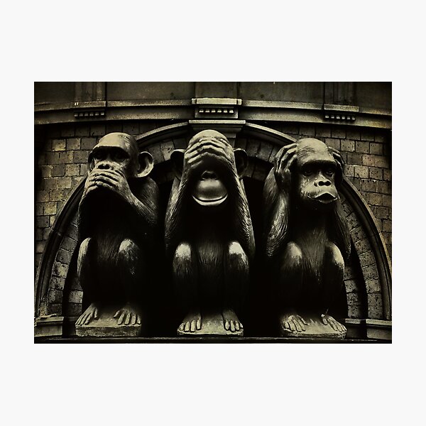 Three Wise Monkeys Photographic Print