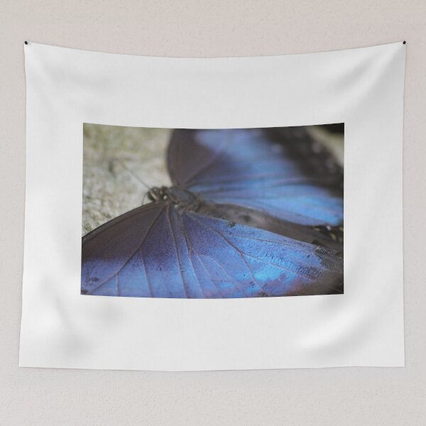 Item preview, Blue Morpho Butterfly  designed and sold by Sandi Walmsley.
