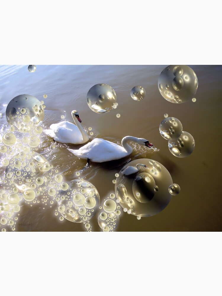 Swan bubbles by valzart