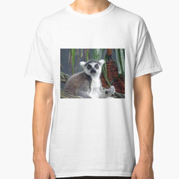 Ring Tailed Lemur Classic T-Shirt