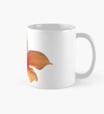 ORANGE FLOWER Tasse (Standard)
