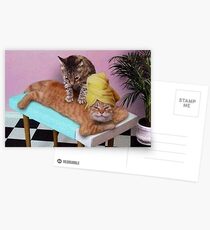 Lustige Katzenmassage Postkarten
