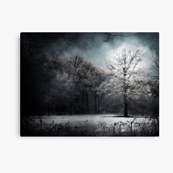 White Tree Canvas Print