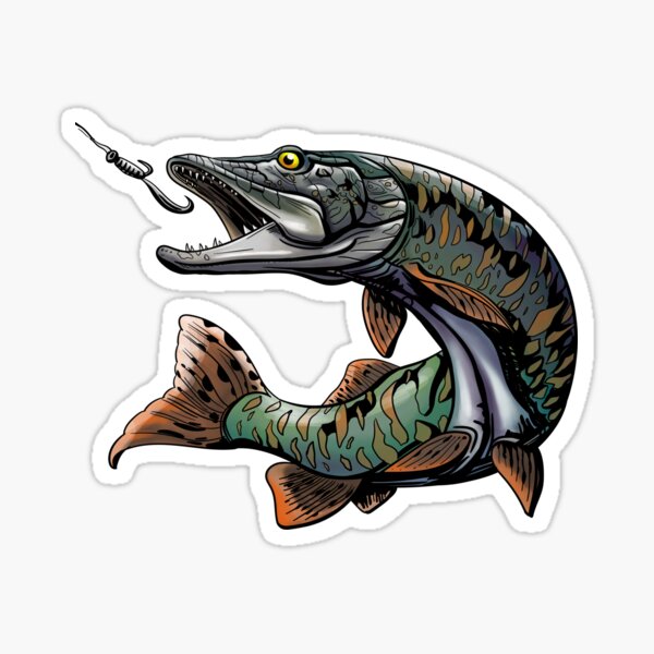 Musky Stickers for Sale, Free US Shipping