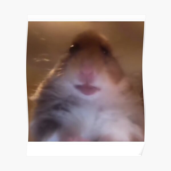 Hamster Posters | Redbubble