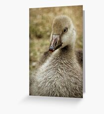 *there once was an ugly ducking* Greeting Card