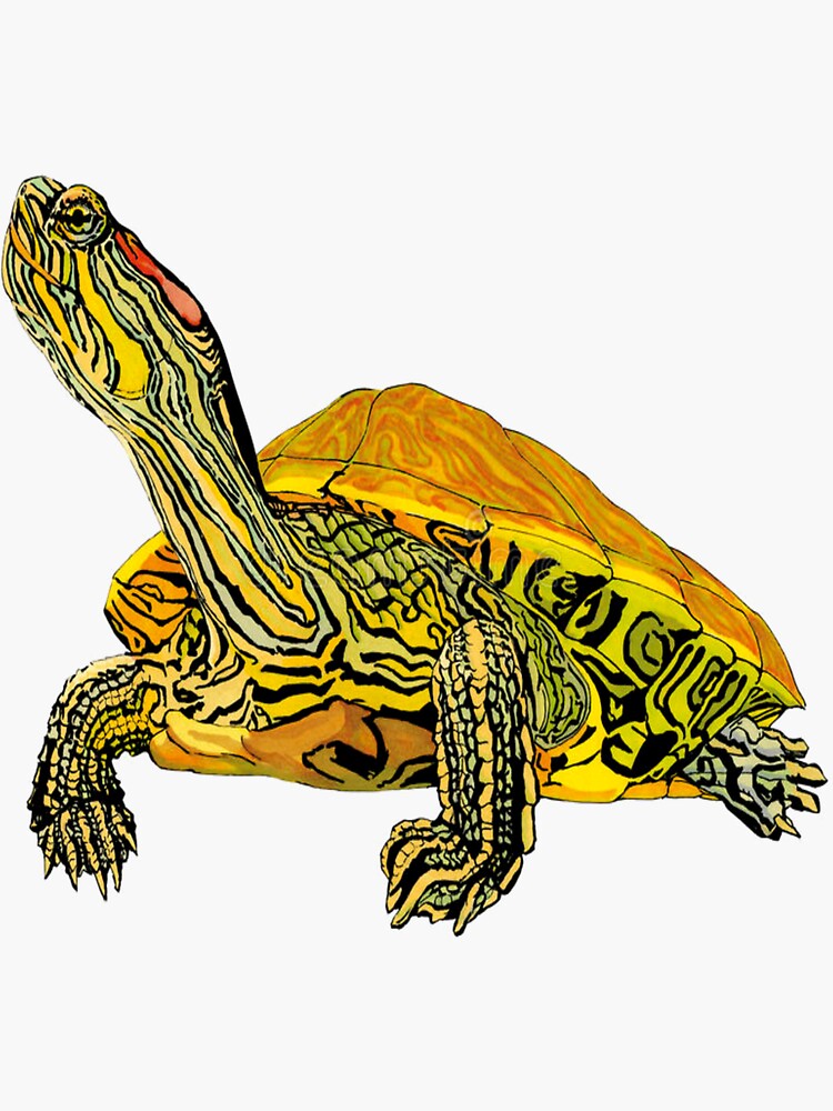 Red-Eared Slider Turtle Shirt - Gift For Turtle Lovers Red-Eared Slider Turtle Shirt - Gift For Turtle Lovers