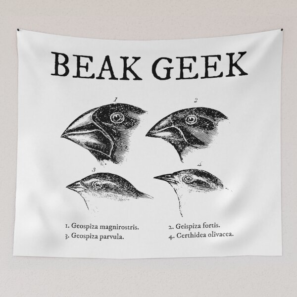 Item preview, Darwin Beak Geek designed and sold by stoppersays.
