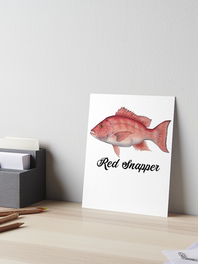 Red Snapper Red Snapper Malerei Red Snapper Shirt Fischer Geschenk Fisch Malerei Fisch Shirt Fisch Geschenk Snapper Geschenk Galeriedruck Von Galvanized Redbubble