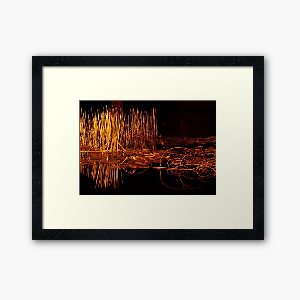 Golden Reeds Framed Art Print