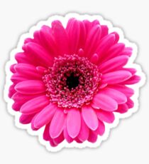 Beautiful pink flower Sticker