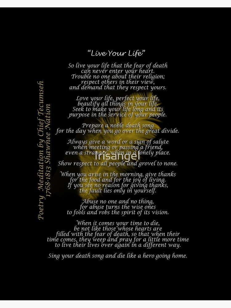 Live Your Life by Chief Tecumseh dream catcher by Irisangel, Redbubble