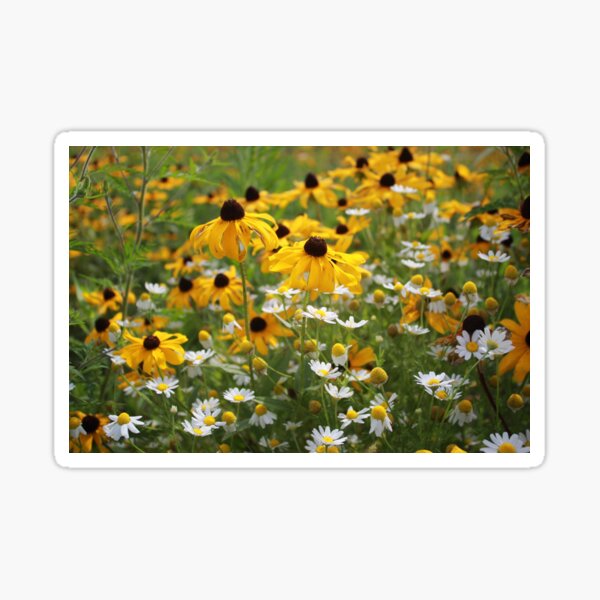 Summery Wild Flowers Sticker
