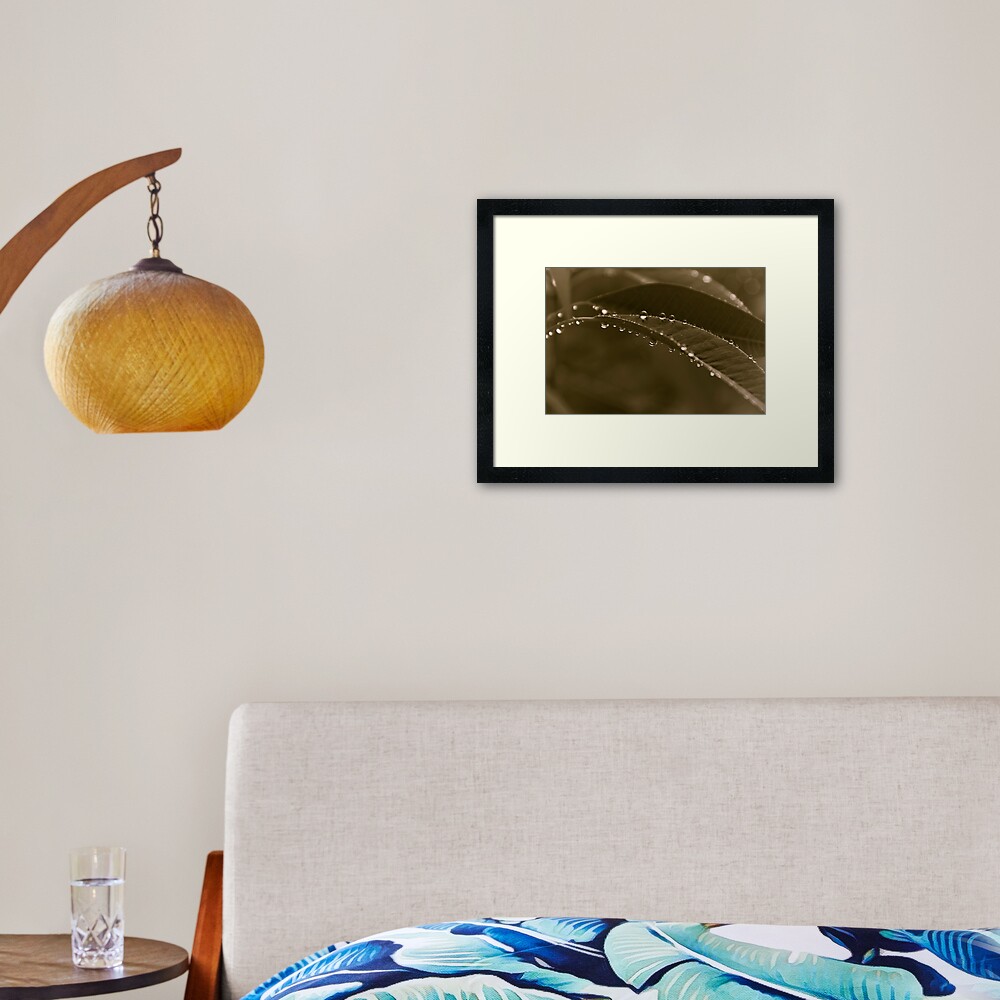 Grey Day Framed Art Print