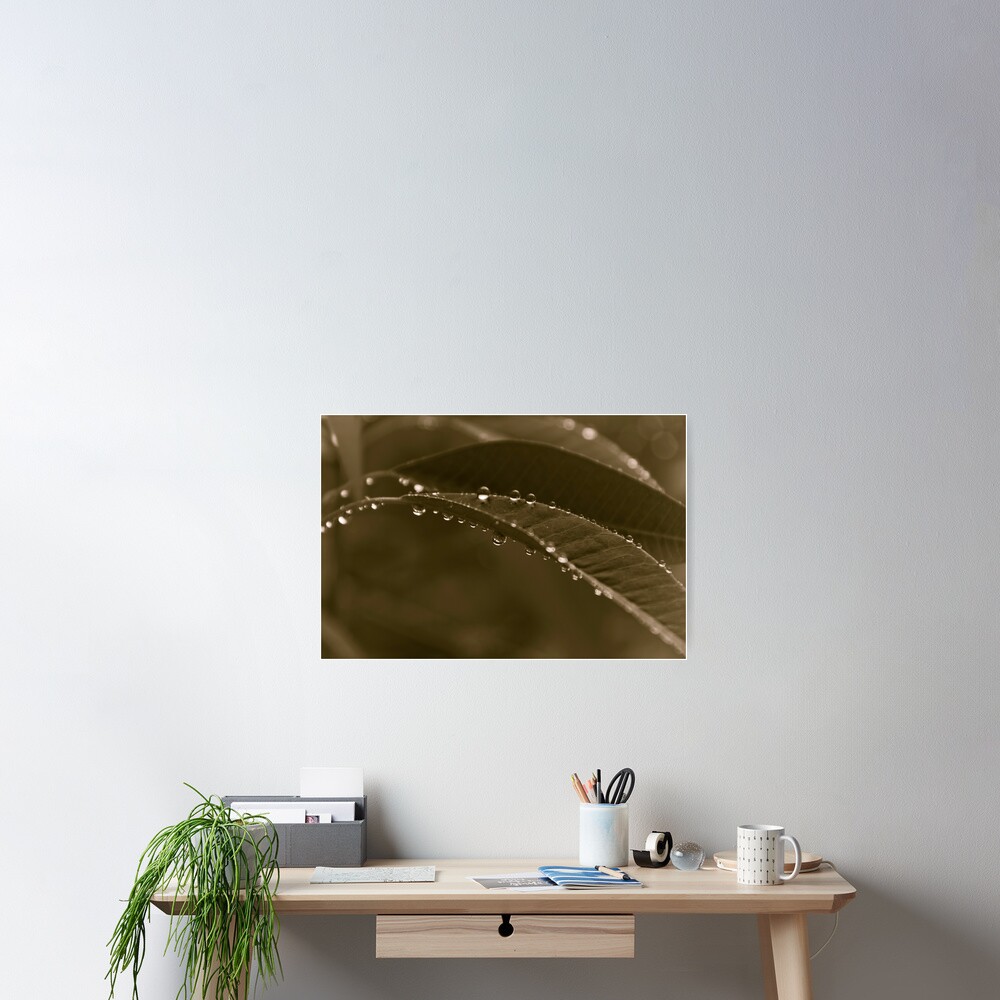 Grey Day Poster