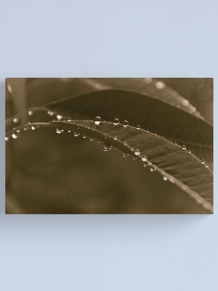 Alternate view of Grey Day Canvas Print