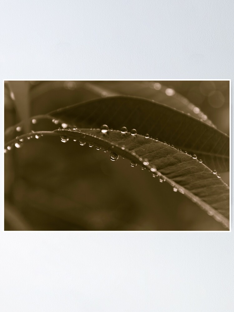Alternate view of Grey Day Poster