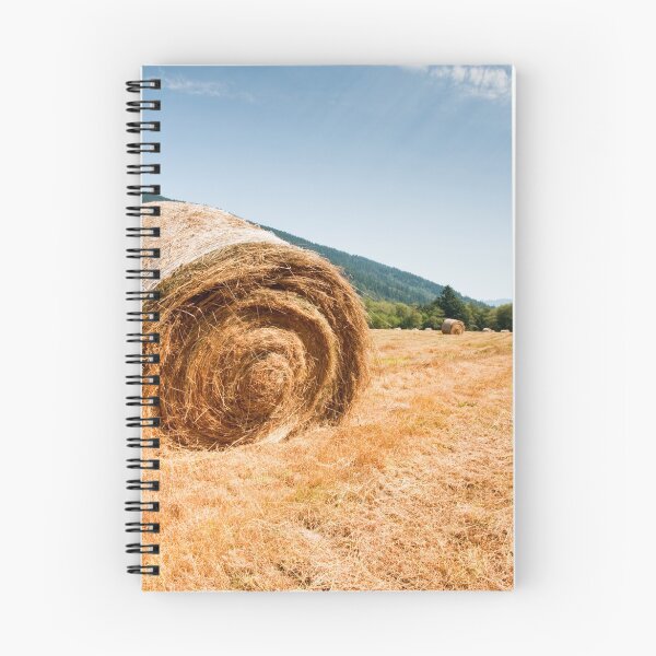Item preview, Hay bales designed and sold by Jaime Pharr.
