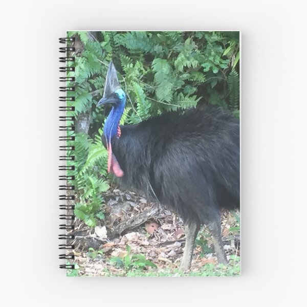 Item preview, Cassowary  designed and sold by Jenny Dean.