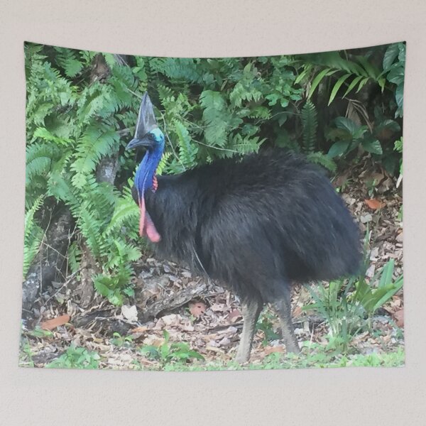 Item preview, Cassowary  designed and sold by Jenny Dean.