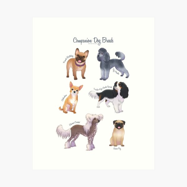 Item preview, Companion Dog Breeds designed and sold by Chiwowy.