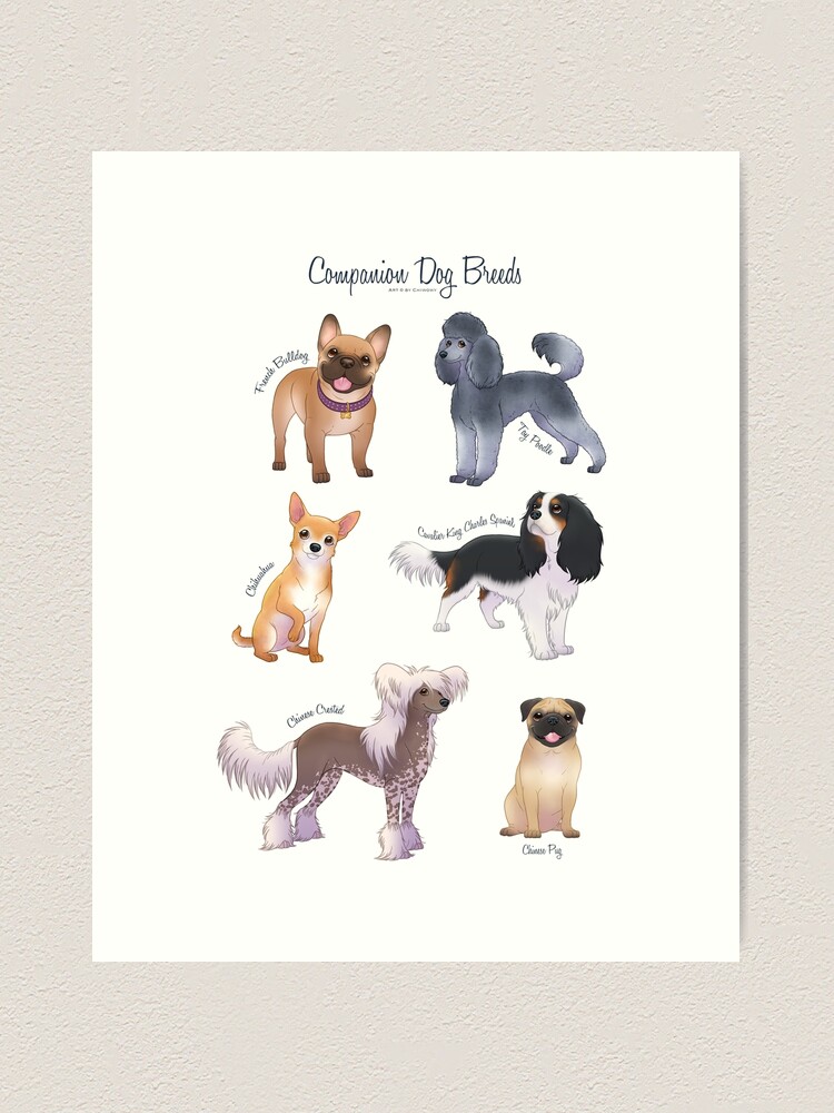 Thumbnail 1 of 3, Art Print, Companion Dog Breeds designed and sold by Chiwowy.