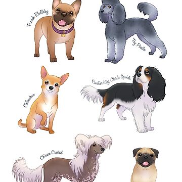 Artwork thumbnail, Companion Dog Breeds by Chiwowy