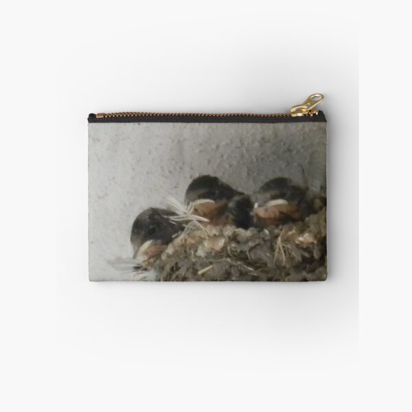 Item preview, Barn Swallow Babies designed and sold by Navigator.