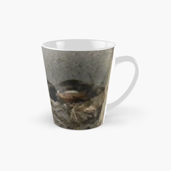 Item preview, Barn Swallow Babies designed and sold by Navigator.
