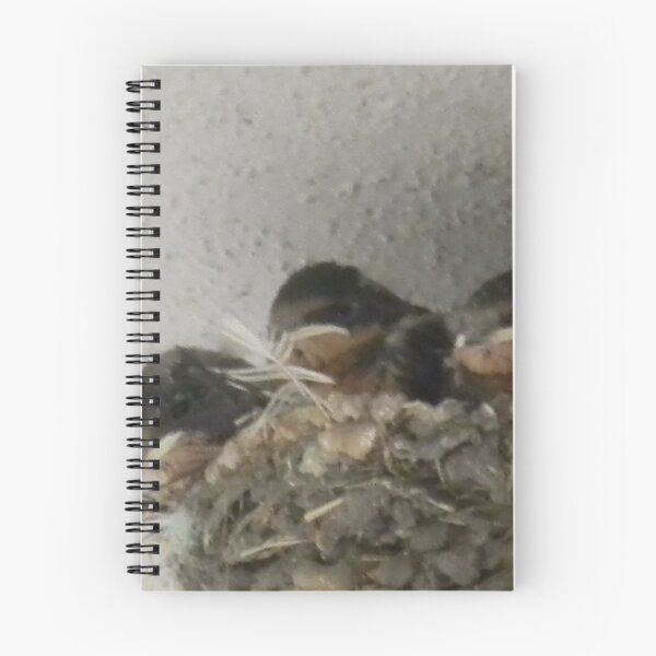 Item preview, Barn Swallow Babies designed and sold by Navigator.