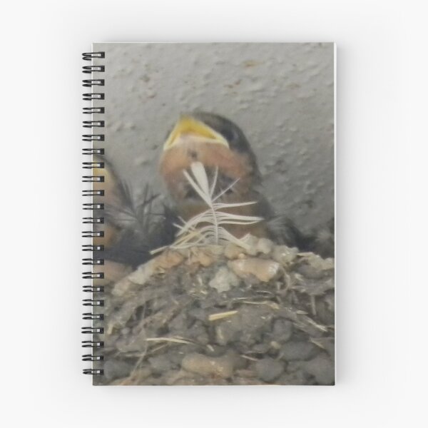 Item preview, Hungry Barn Swallow Babies designed and sold by Navigator.