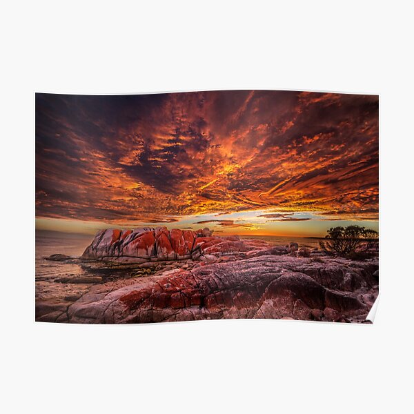 Sunrise at the Bay of Fires Poster
