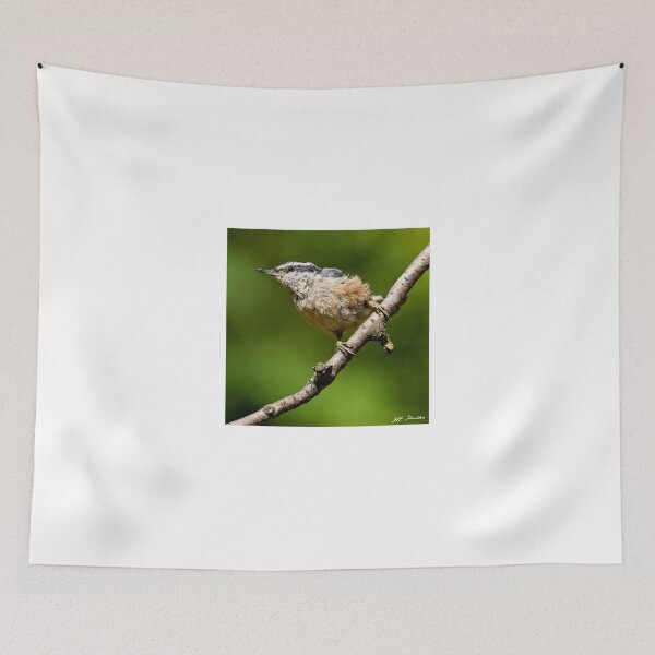 Item preview, Red Breasted Nuthatch designed and sold by Jeff Goulden Photography.