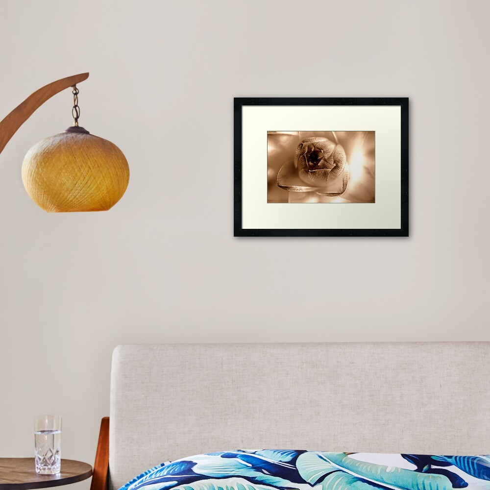 Dried daisy flower, sepia Framed Art Print