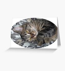 Coco le chaton Carte de vœux