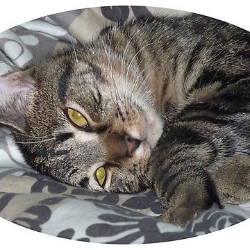 Artwork thumbnail, Coco the kitten by martinb1962